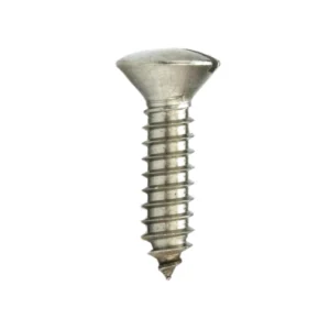 Parafuso Soberbo Autoatarrachante Oval Fenda 2,9mm